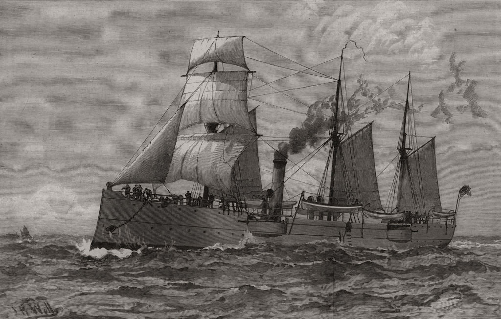 The American Navy: U. S. S. Petrel, gun vessel. Birds 1890 old antique print